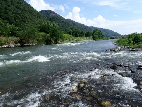 98vmjsjyuh9g5mwtr622_480_480-d9049753.jpg