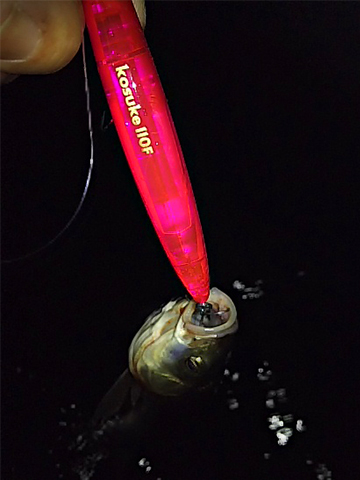 kosuke110F