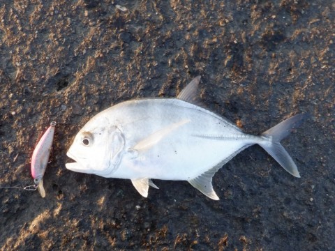 波流~ 楽釣海道】 ヤマガブランクス アーリープラス 102MH
