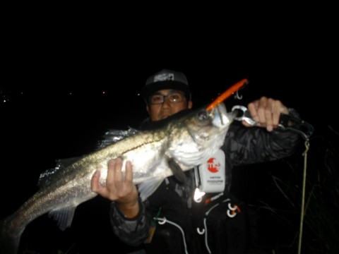 99ke65nxuy73js5kdan5_920_690-33aa1071.jpg