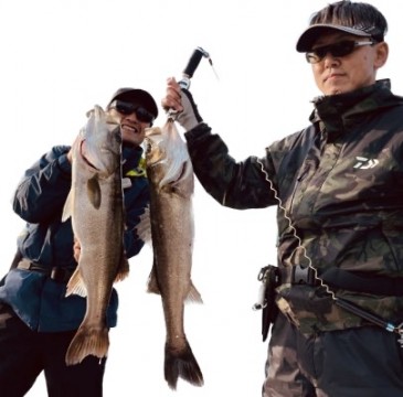 99py44mpb7g6twgcjumu_405_400-31ed60f3.jpg