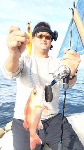 9ai6rv3y67otd56y8dm9_480_480-4d179bde.jpg