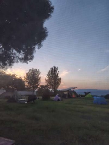 9akpvb7ph7vhf472agro_480_480-eb61276f.jpg