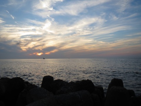 9auepgc9xh7i52haizbg_480_480-0179232a.jpg