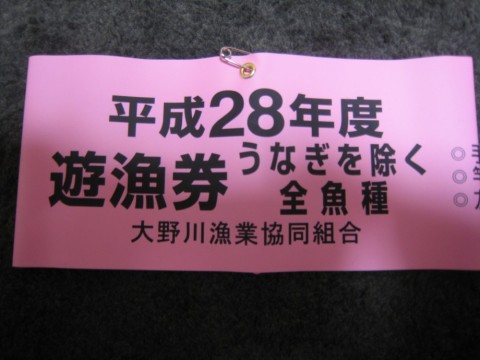 9b27a8j4a4yn6u4eg9jc_480_480-5350cdec.jpg