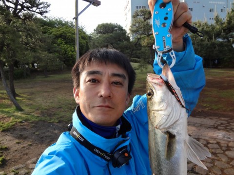 9b2e222ki5t8jju73fho_480_480-f01e0092.jpg
