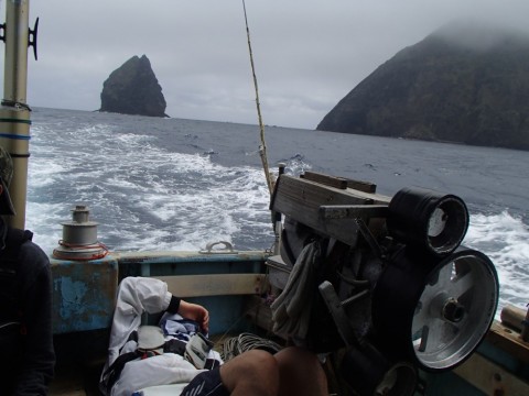 9b38x8er9dzch8inka33_480_480-9fd997f9.jpg