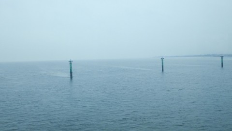 9b6inbrsybxo38ibrii5_480_480-4c442670.jpg