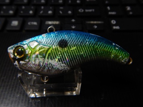 9bcvx34rrgzb5gt2tdpa_480_480-bb93b6ce.jpg