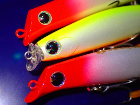 9be26ojn4a5ar8xp8td6_480_480-e310d1cb.jpg