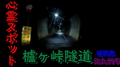 9bhtsf2s5be78du3yn4r_480_480-42c98f3f.jpg