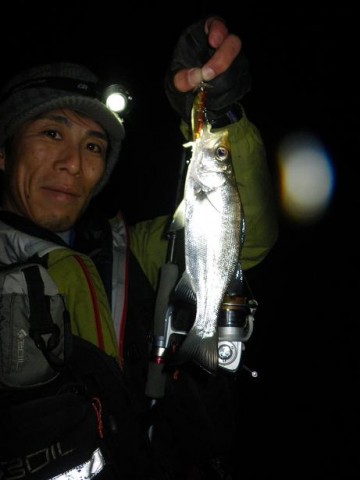 9bvnhg2hhnuizemkfuua_480_480-f8bbcc47.jpg