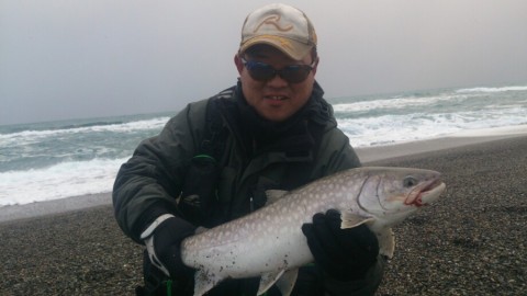9bx2xapguup9xer769rm_920_517-08eb4bff.jpg