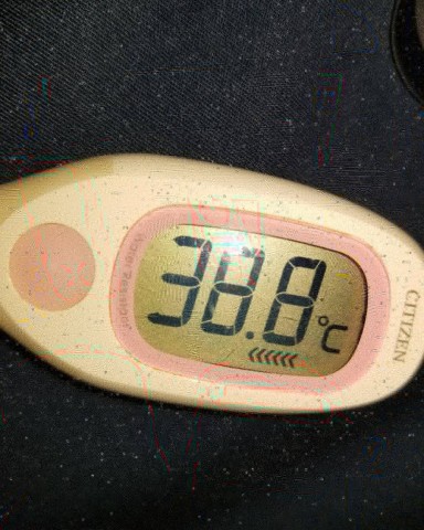 9c2yztyu8xdmd4whxxoa_480_480-7dcfda00.jpg