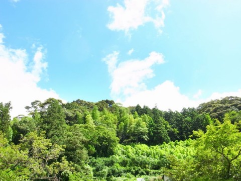 9c696utoi3ezw8mtr3cn_480_480-00361602.jpg