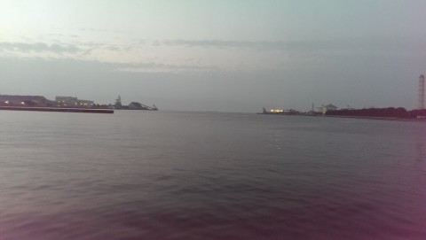 9c9e9ooox3897z4s3kr9_480_480-f2781fd9.jpg