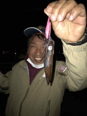 9cgdv7a3s2mhw9e3tjou_360_480-f2c034dd.jpg