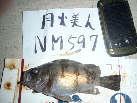 9co6en2pbvnr2ovfemri_480_480-82db4258.jpg