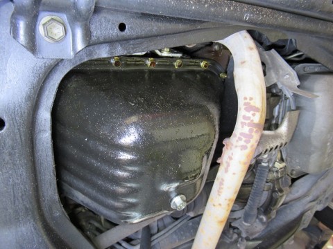 9d4u2mvdnwiyshafsv95_480_480-921b0522.jpg