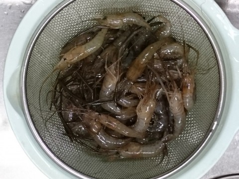 9dkkkmm88sothbhb6c6s_480_480-78d3c828.jpg