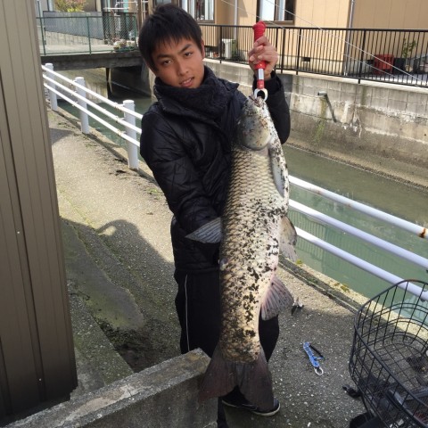 9dnsyrm5se25k45mchdc_920_920-03f41874.jpg