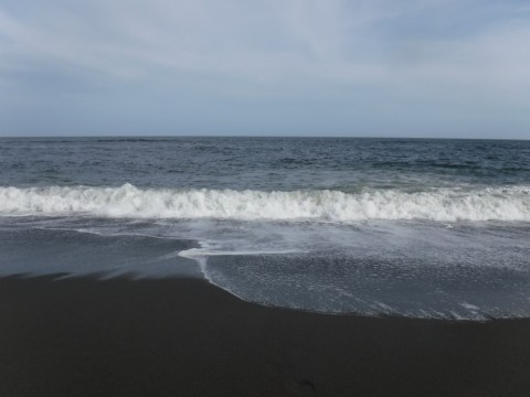 9drxxfoicccrac5psj2w_480_480-c045a800.jpg