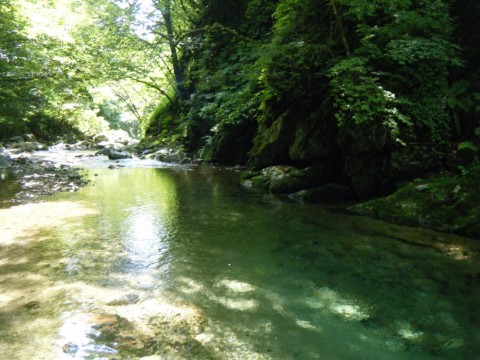 9dwofnw82ujuax53invk_480_480-8a42c785.jpg
