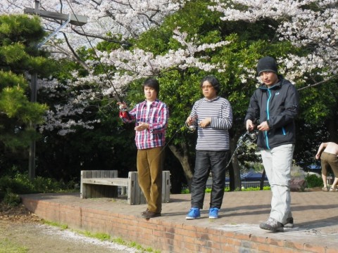 9dxbedk2rnhdeo4tyrew_480_480-3c52d064.jpg