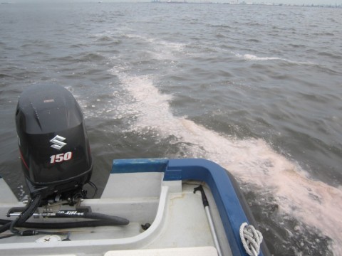 9e5bd5njhmt2e28bnav5_480_480-8c41a59a.jpg