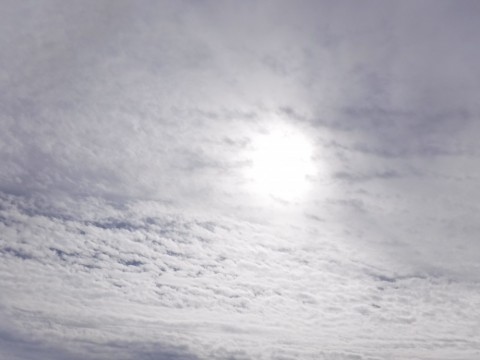 9ea2vi9jy7zzcic9p8wz_480_480-112755a5.jpg