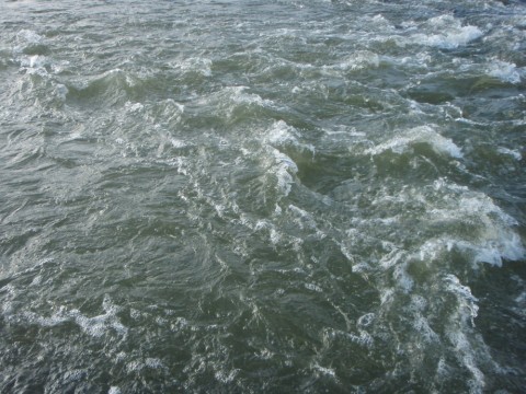 9ec6aa5x49kskkasmjtn_480_480-b59e7010.jpg