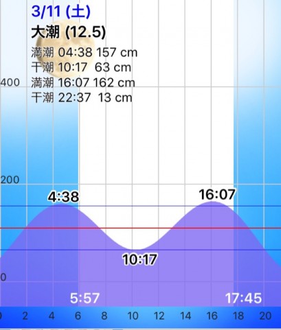 9ekjff8u7s6xj2xpfz7e_783_920-10d64678.jpg