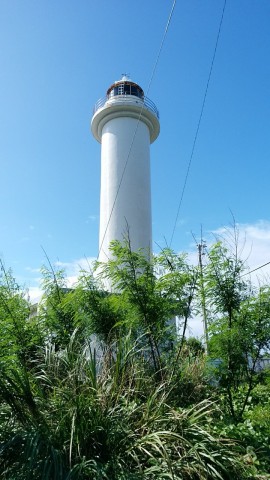 9erc2so5jbhjn3dy4938_480_480-ee1ce888.jpg