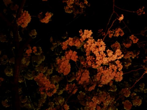 9etfhur894jafvyrtjxc_920_690-4ca6f59b.jpg