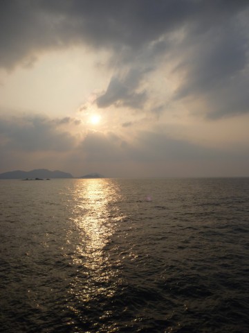 9f8jayccewsvvw8zmo9y_480_480-1056d040.jpg