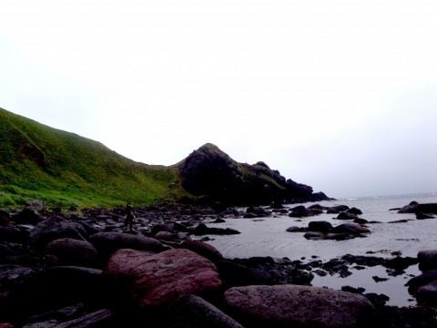 9f8uofhw8nu4gpm6m3od_480_480-d15fa1f6.jpg
