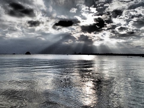 9fa6hjasd3nnmg8xvpv5_480_480-8c2a09f9.jpg