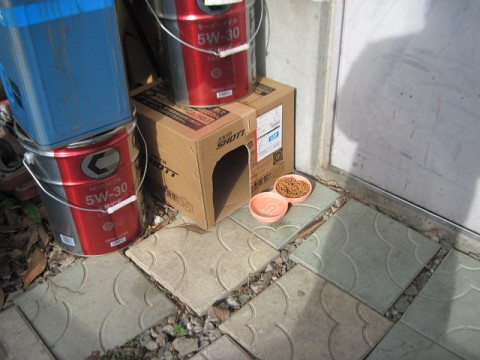 9fkg8vgij8m6gttsfjk8_480_480-7c9ab63f.jpg