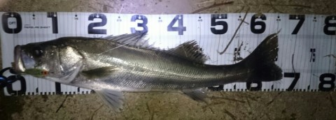 9fm5k35jfmgb68nhhn4e_920_330-6d02bb84.jpg