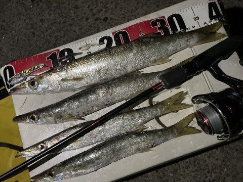 ラグゼ　リフレックス　ティガロ95M ラグゼ リフレックス ティガロ95M | イシグロ公式オンラインショップ