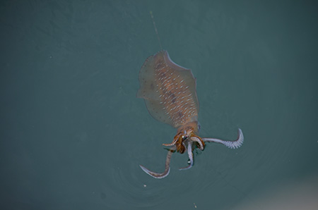 9g34xzwnwpcpybf9hd2g-d800a98e.jpg