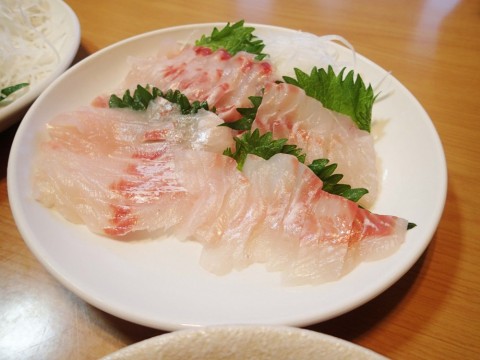 9gf6xmexf3as8cjue9wj_480_480-10829463.jpg