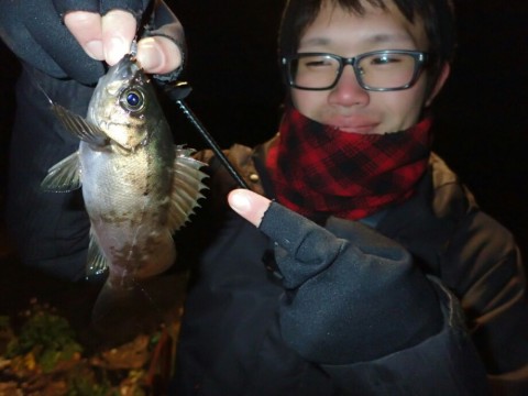 9gftgm4wxnie6w5g2gdr_920_690-8967401b.jpg