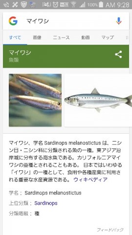 9gokf2ttbjazsrcsxnwn_360_640-39da6d6c.jpg