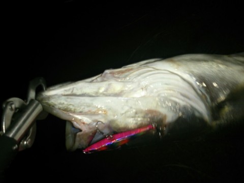 9gripbf8dwprk3s65fxm_920_690-7b0587bc.jpg