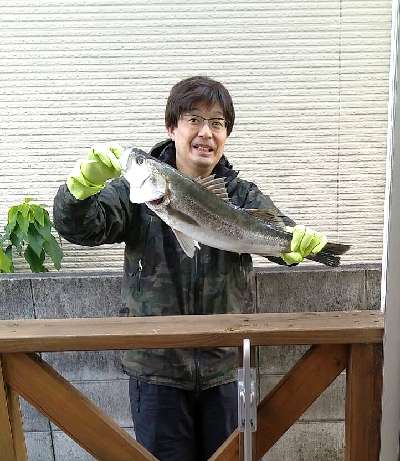9grocbx2t3csja8c57d5-89d5872a.jpg