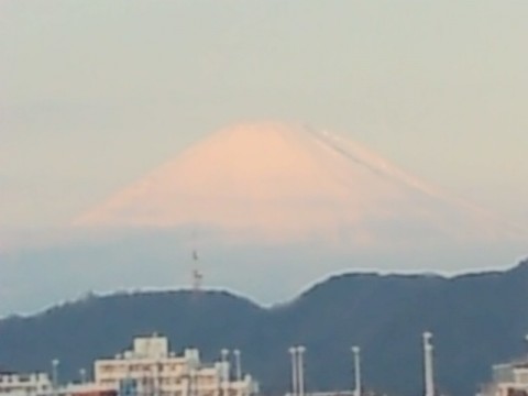 9gvoy9ga76uhyynkkr88_480_480-d0f08655.jpg
