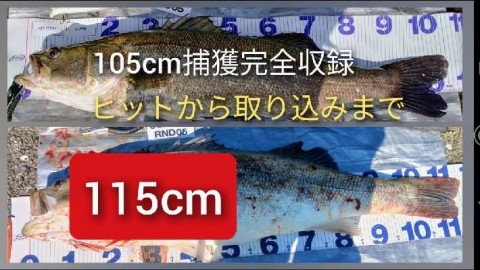9ha9dxorzk9tv9g7jycf_480_480-e9c04e2d.jpg