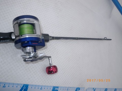 9hag2mzxv4aj8drf3p3v_480_480-e9ac7cf3.jpg