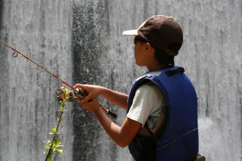 9hfgftxcdwwa9v293duc_480_480-0a6d421a.jpg
